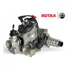Moteur Rotax Karting