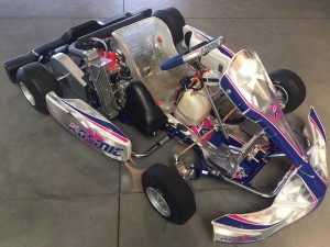 Kosmic Rotax minime cadet 